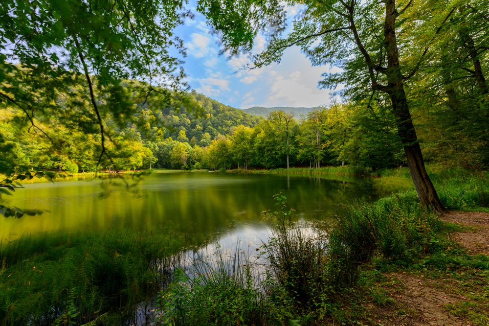 Фотография автора Асрян Севак