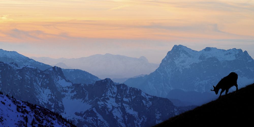 Фотография автора Ervin Horesnyik