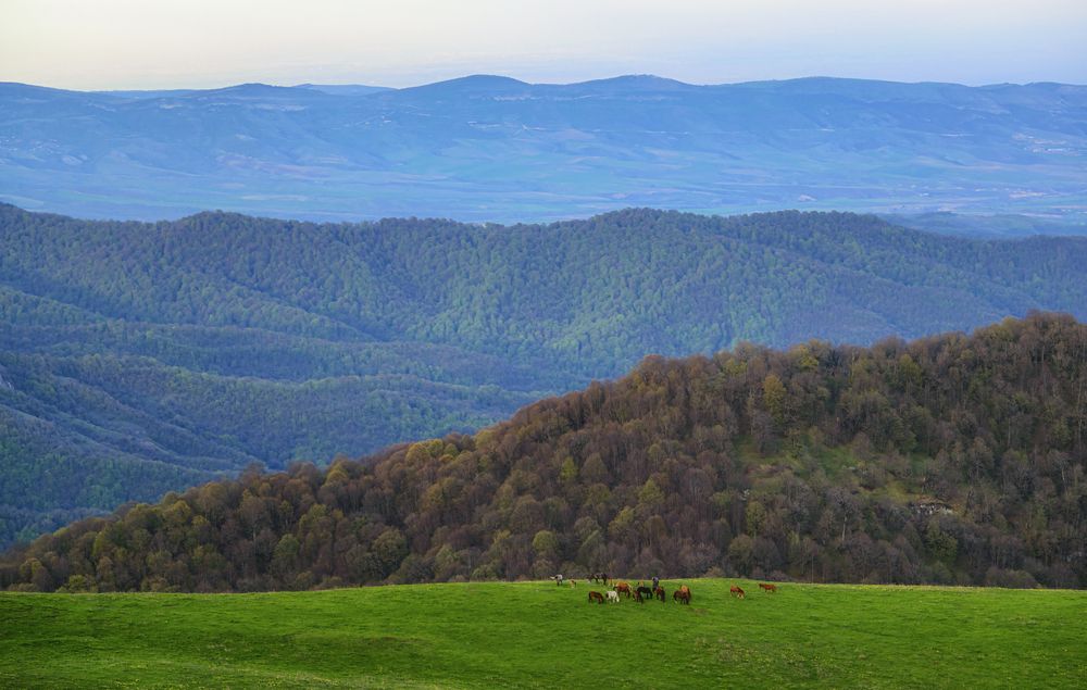 Фотография автора Асрян Севак