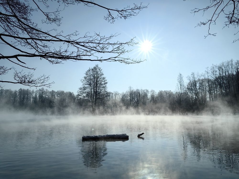 Photograph by Рустам Сафин