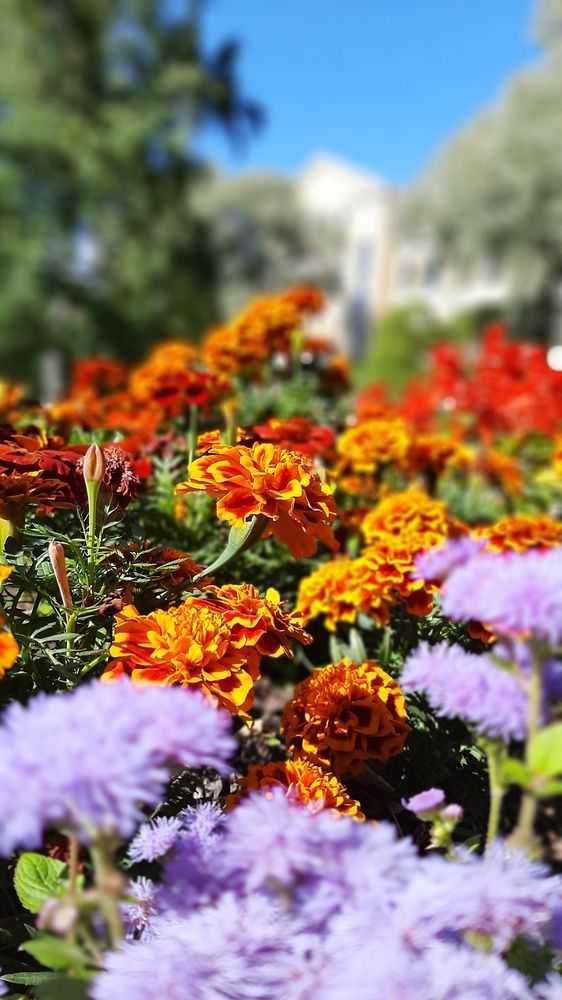 Photograph by Екатерина Иванова