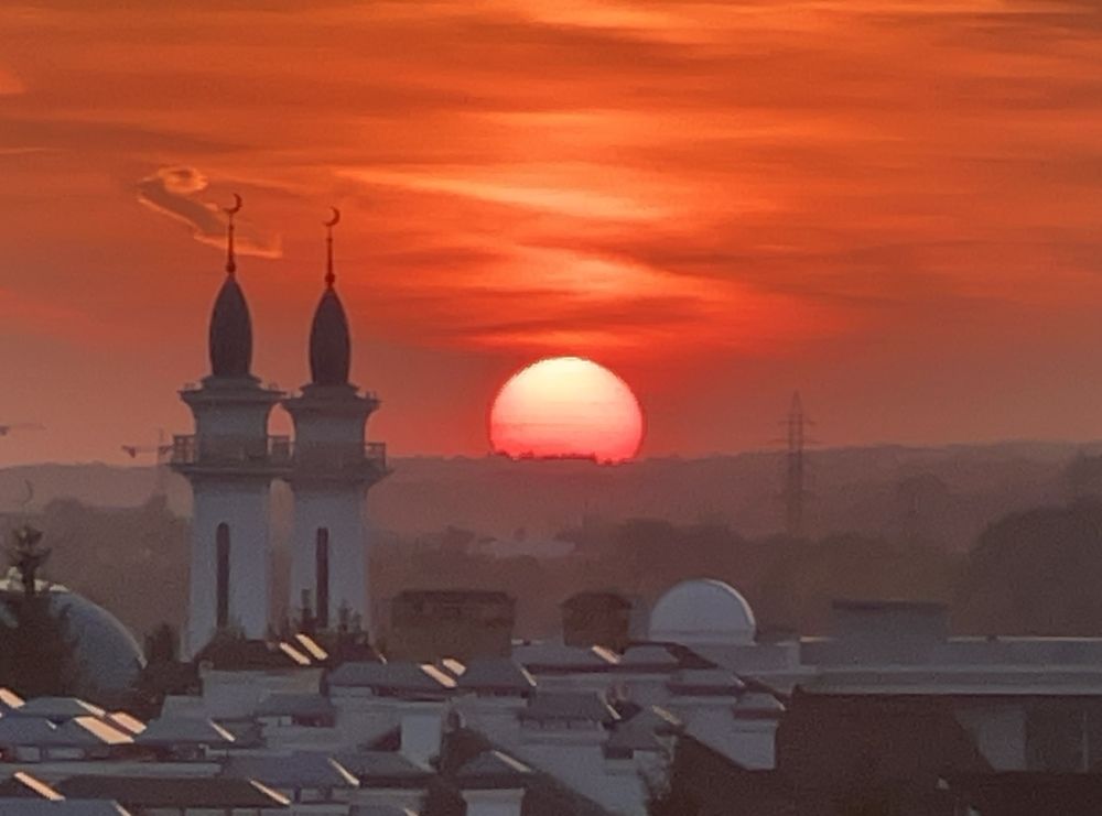 Photograph by Elvira