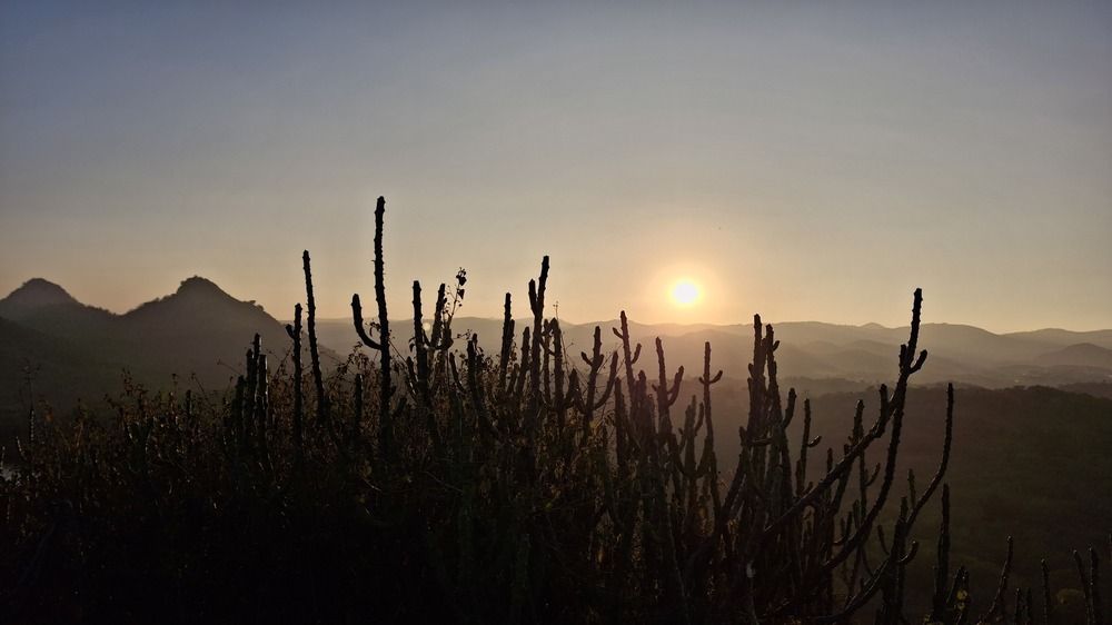Thar Desert