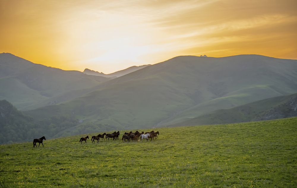 Фотография автора Асрян Севак