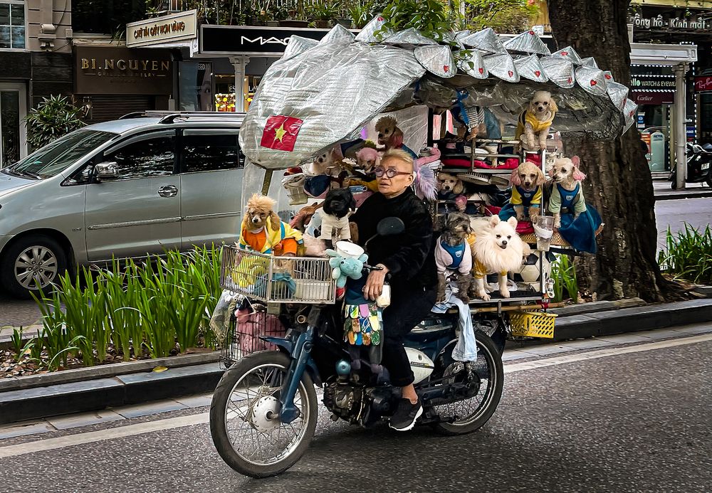 Photograph by Hanh P. T. Pham