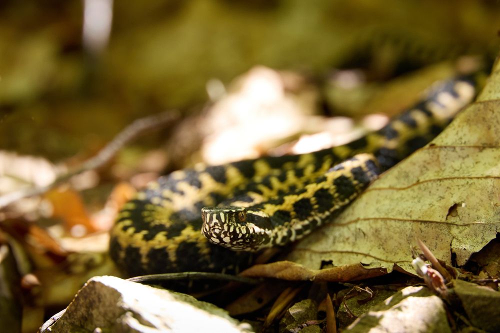 Photograph by Глеб Заходякин