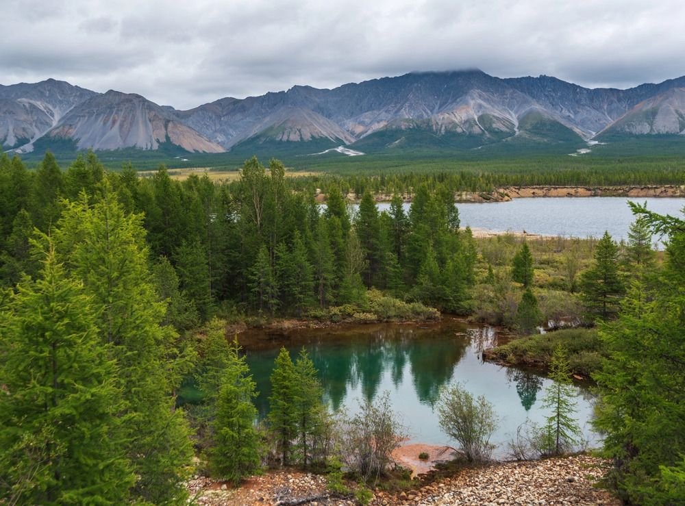 Photograph by Ольга Крицак