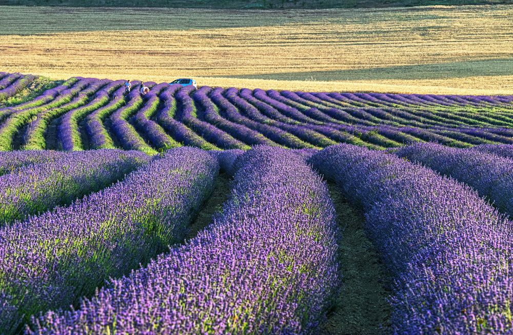 Photograph by Владимир Бочковский