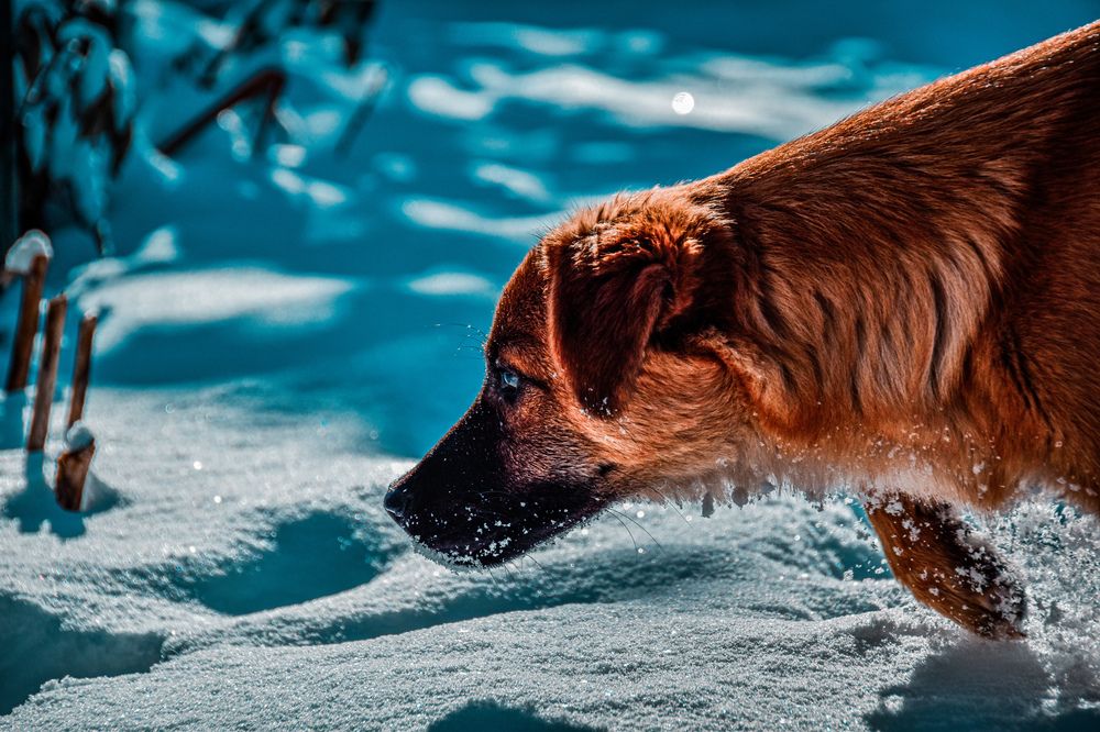 Фотография автора Кристина Шефер