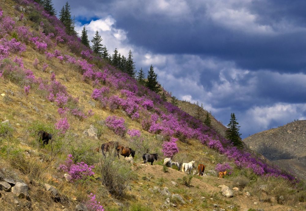 Photograph by Ольга Челдыкова