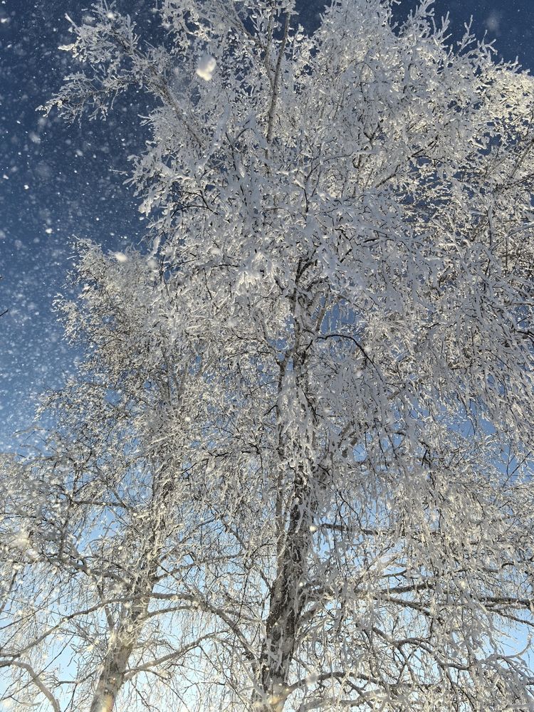 Снежная россыпь