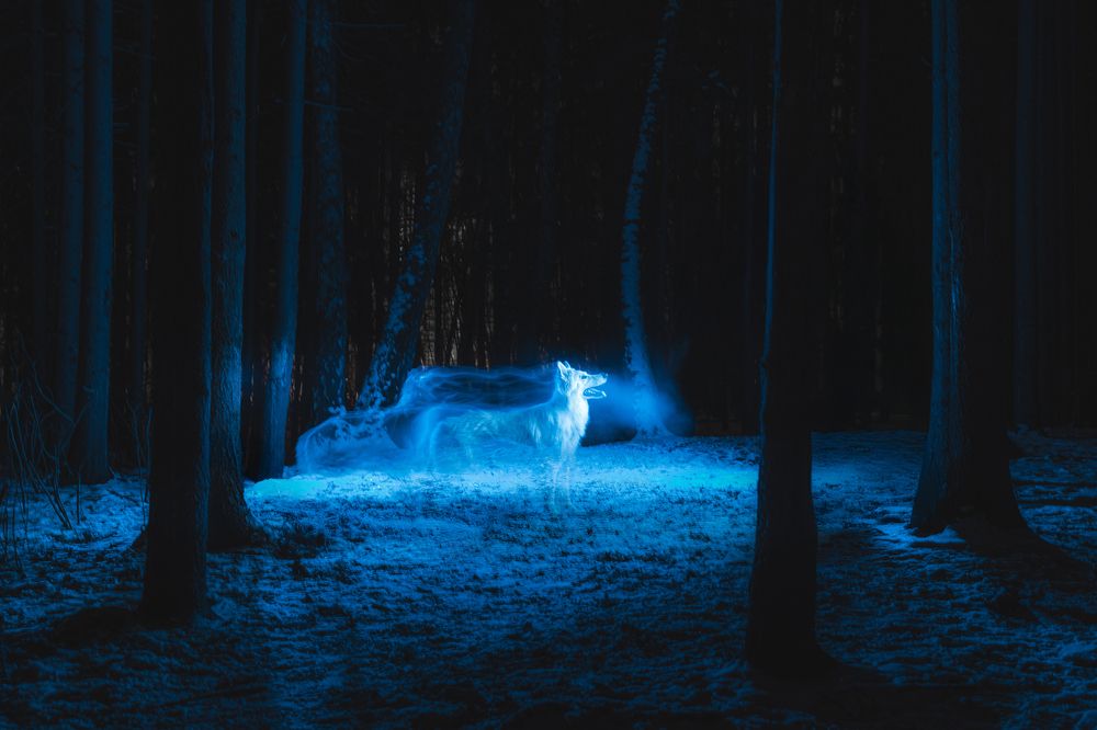 Фотография автора Екатерина Киреева