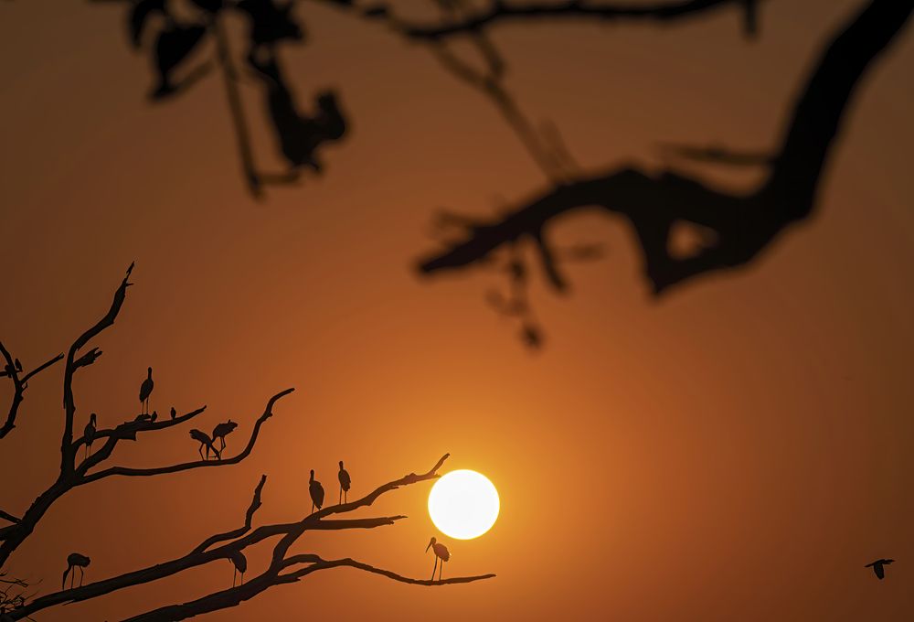 Фотография автора Subir Ghosh