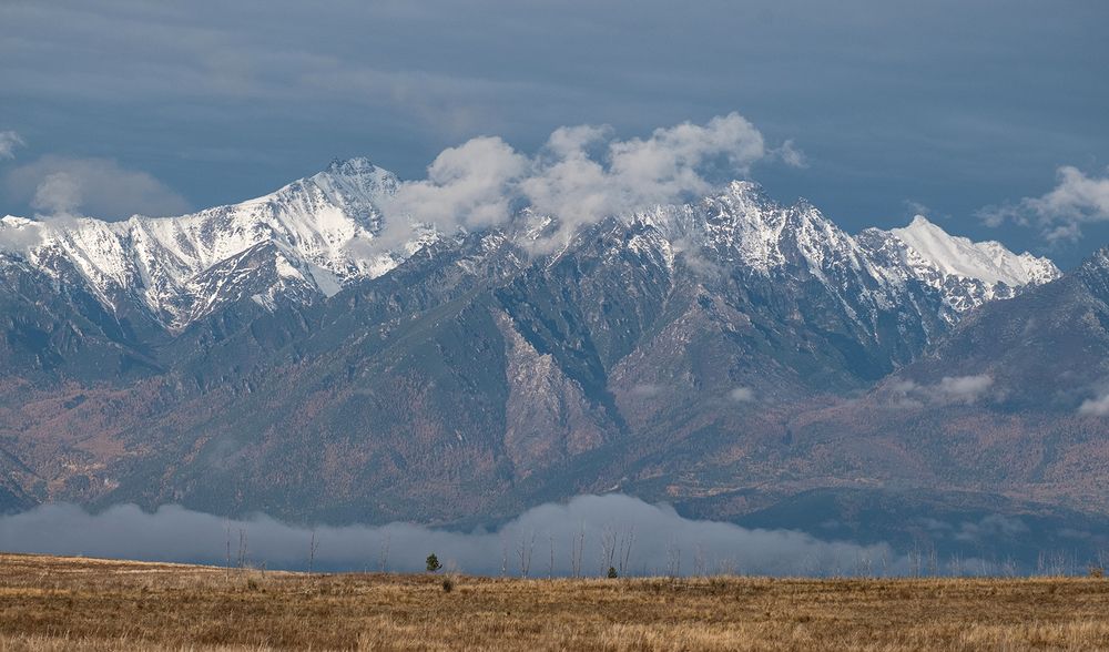 Скоро дождь