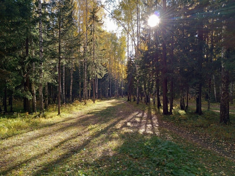 Photograph by Анастасия Мантурова