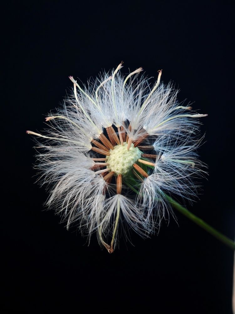 Photograph by Noor Azhar Abd Rasid