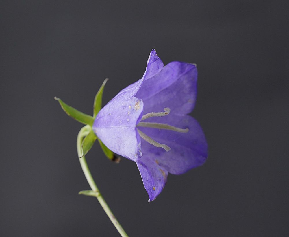 Photograph by Светлана Семенова