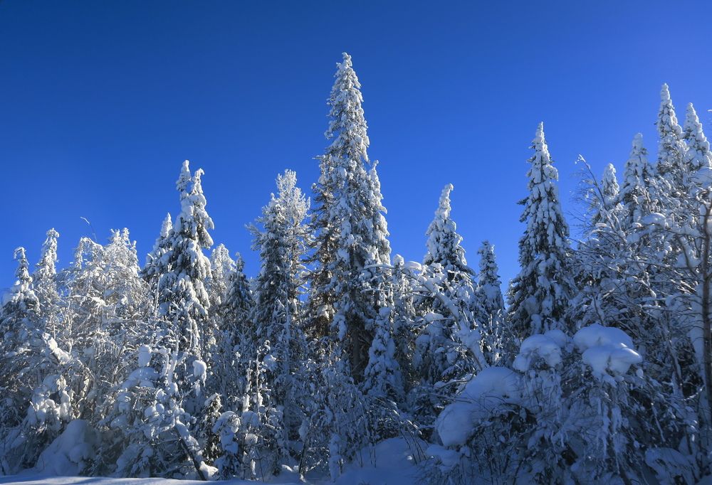 Photograph by Орл Про