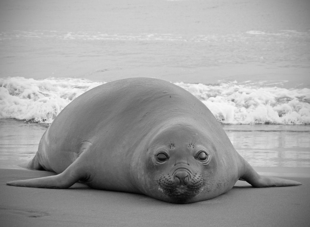 Photograph by GLEYDA GUTIÉREZ