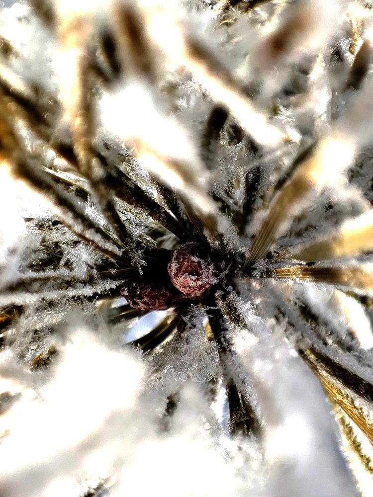 Photograph by Наталья Смирнова