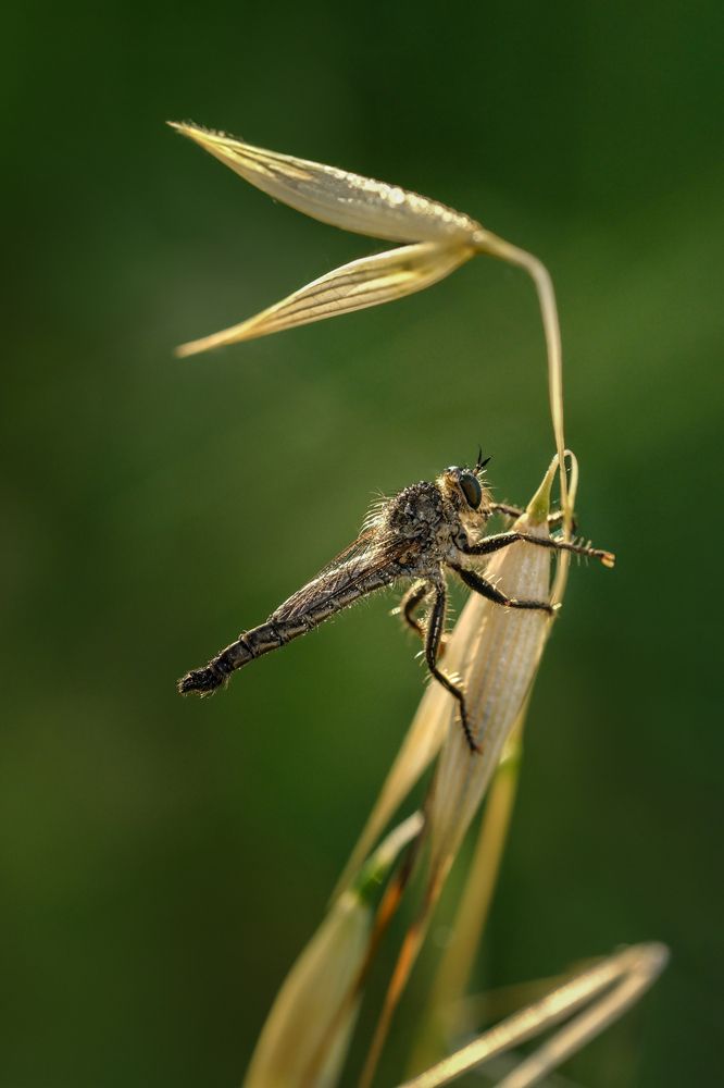 Photograph by Leonid Radashkovsky