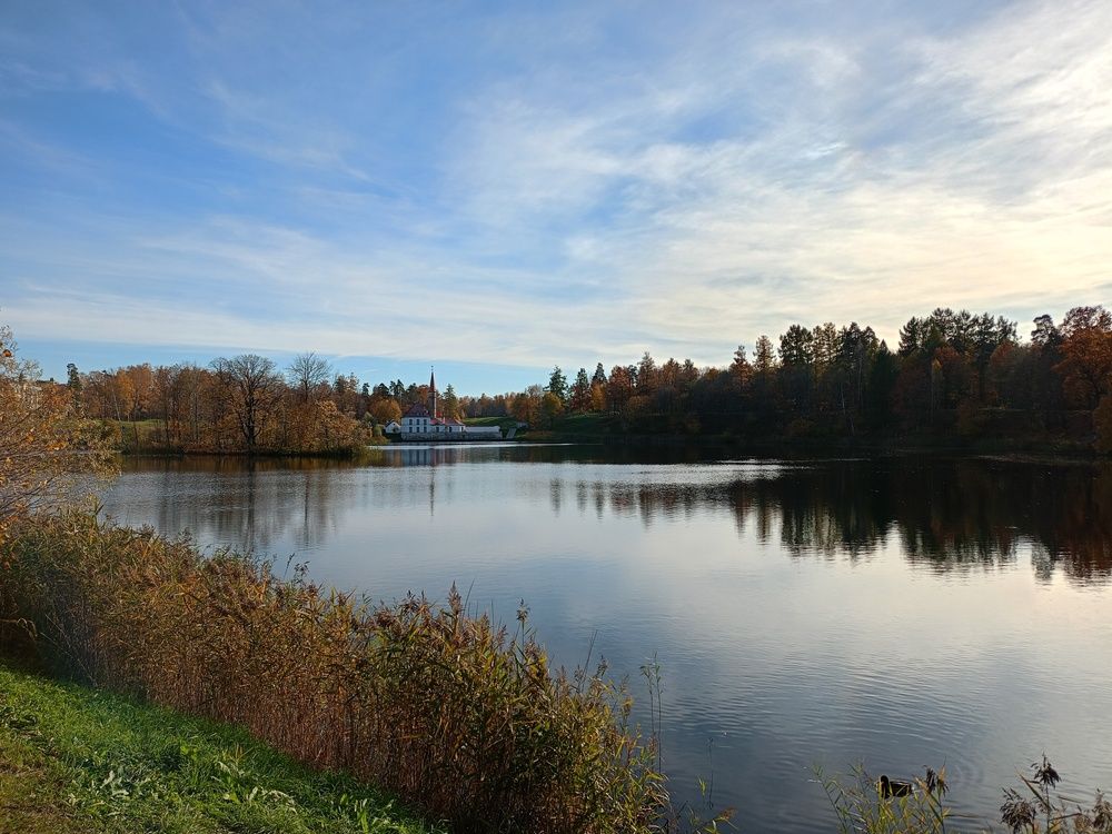 Photo #12011628