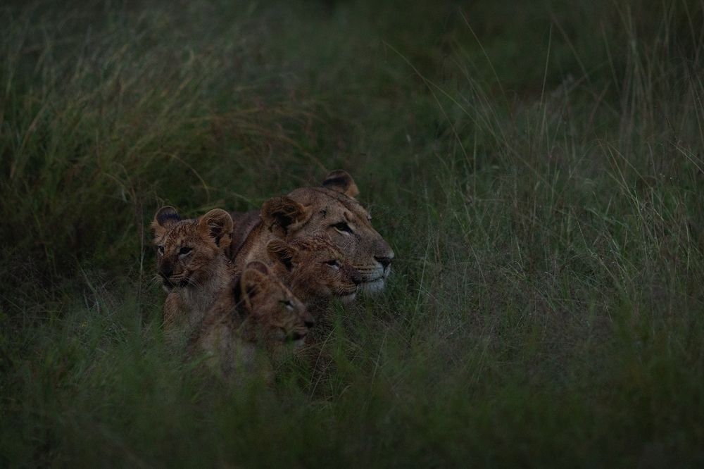 Photograph by Ольга Шайдулина