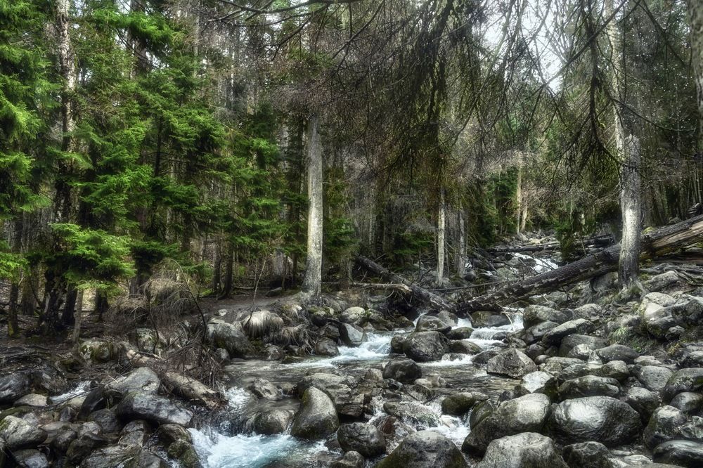 Photograph by Ирина Ульянова