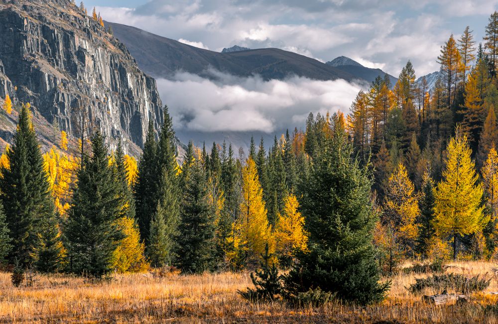 Photograph by Devender Mark