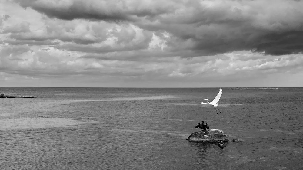 Photograph by Михаил Хромаков