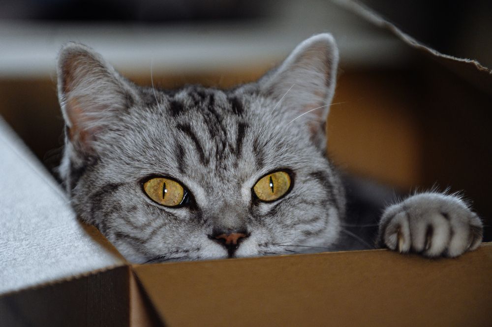 Photograph by Svetlana Soboleva