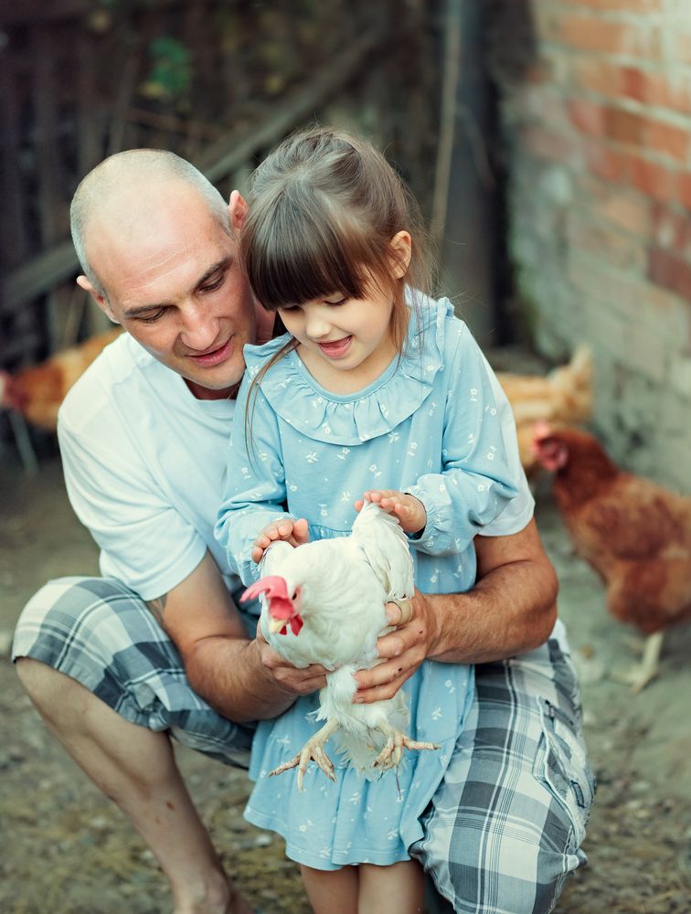 Про курочку