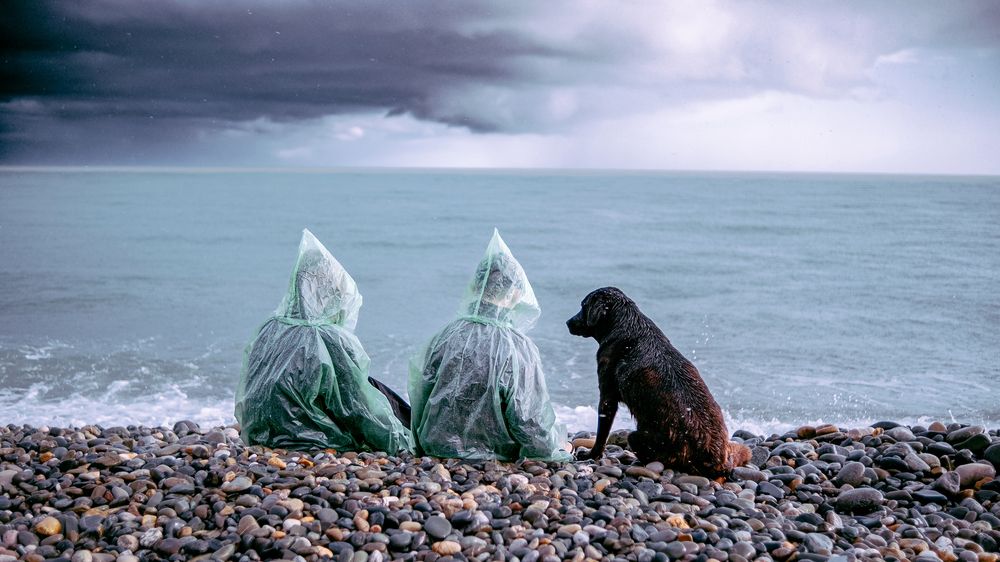 Photograph by Екатерина Кваша