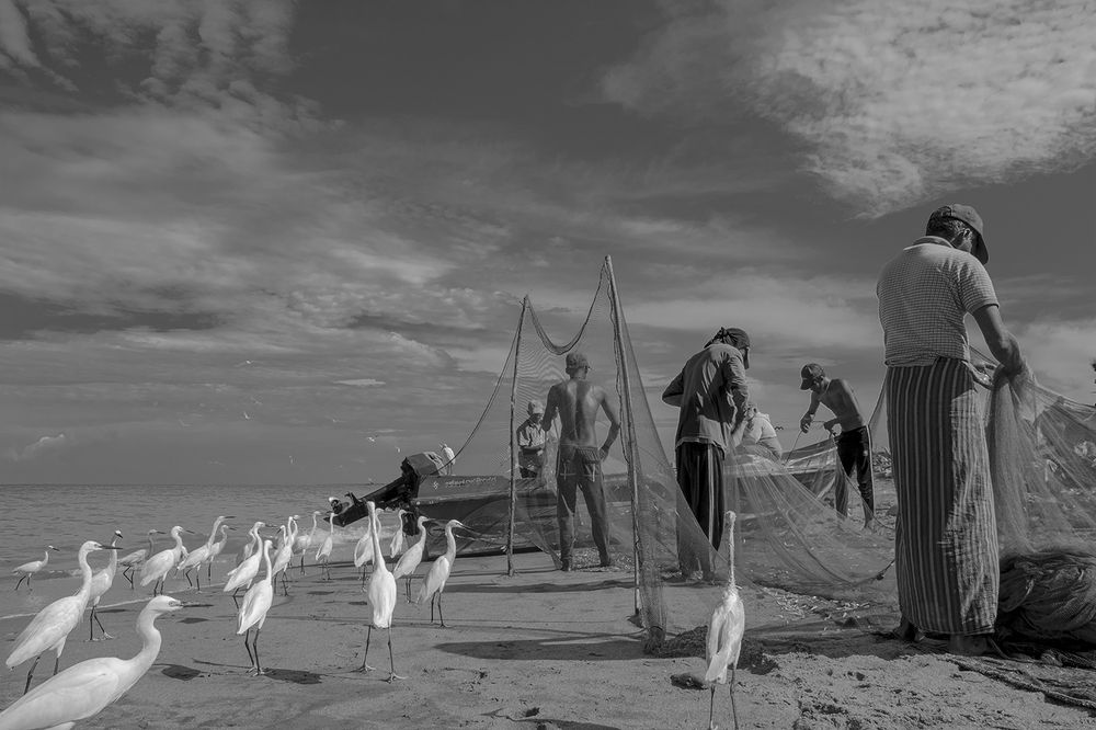 Photo #12011744