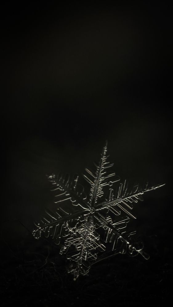 Photograph by Ольга Шайдулина