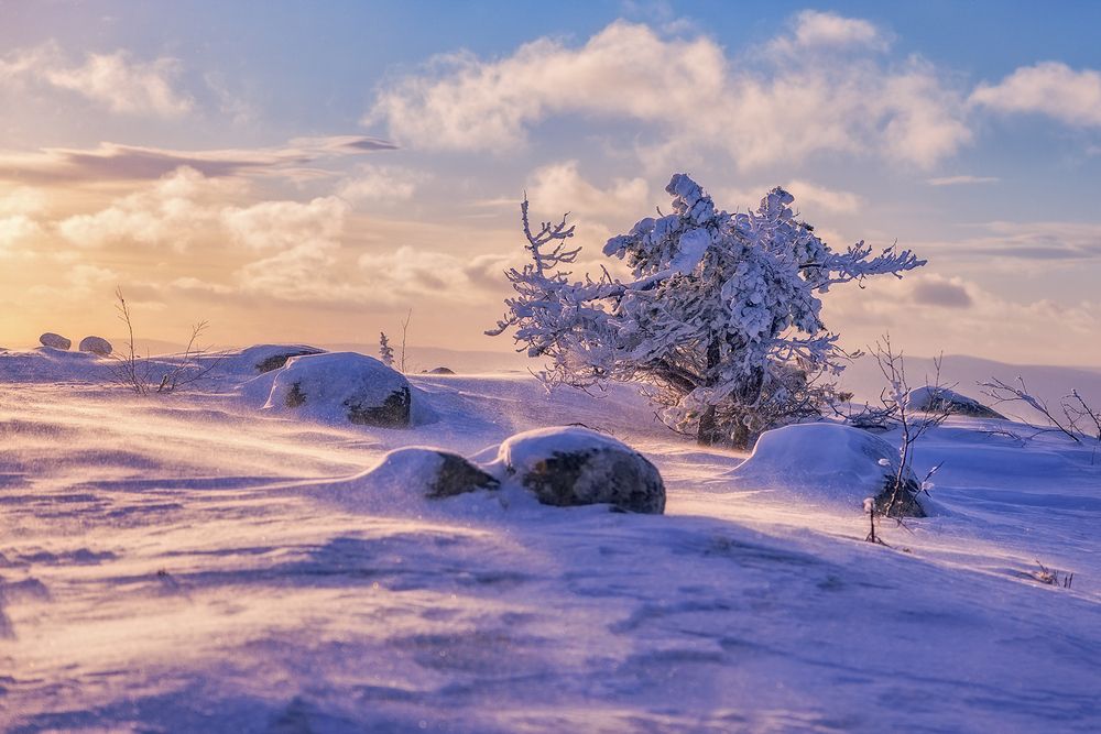 Photograph by Липецких Владимир