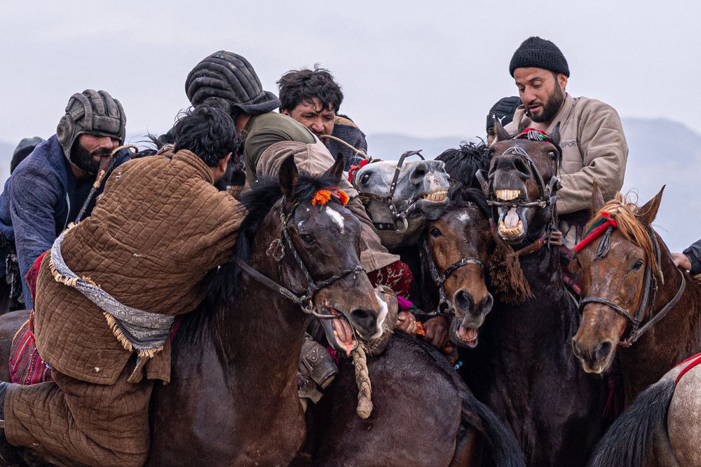 Photograph by Sayed Habib Bidell