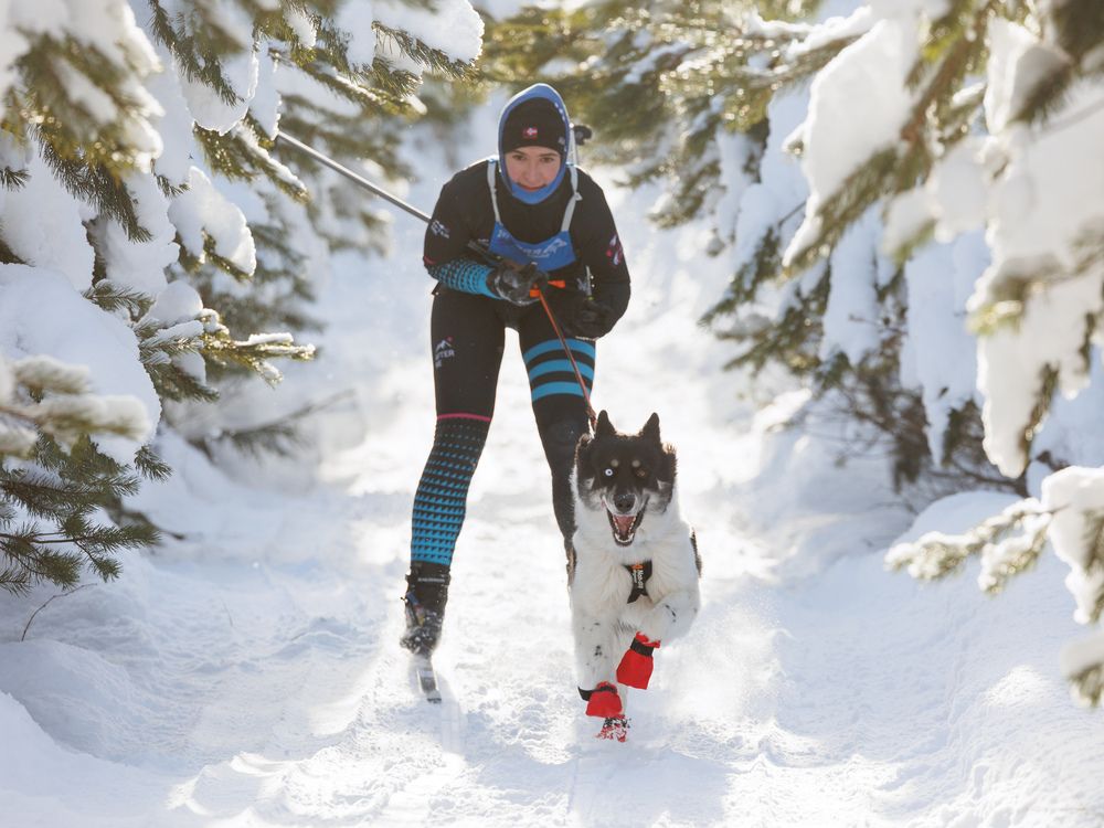 Photograph by Илья Юфа