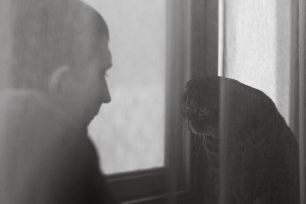 Photograph by Алина Бояринова