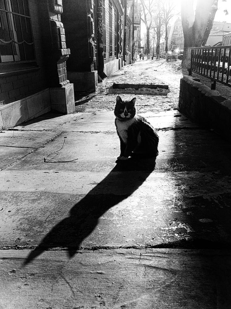 Photograph by Ирина Корпачева