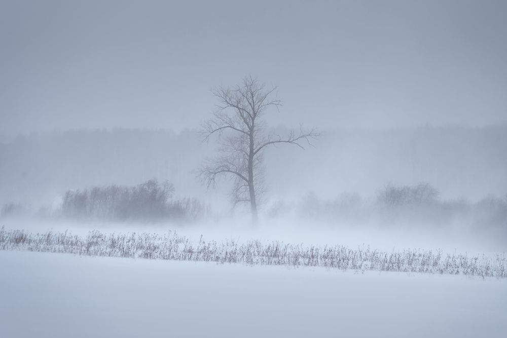 Photograph by Смольский Евгений