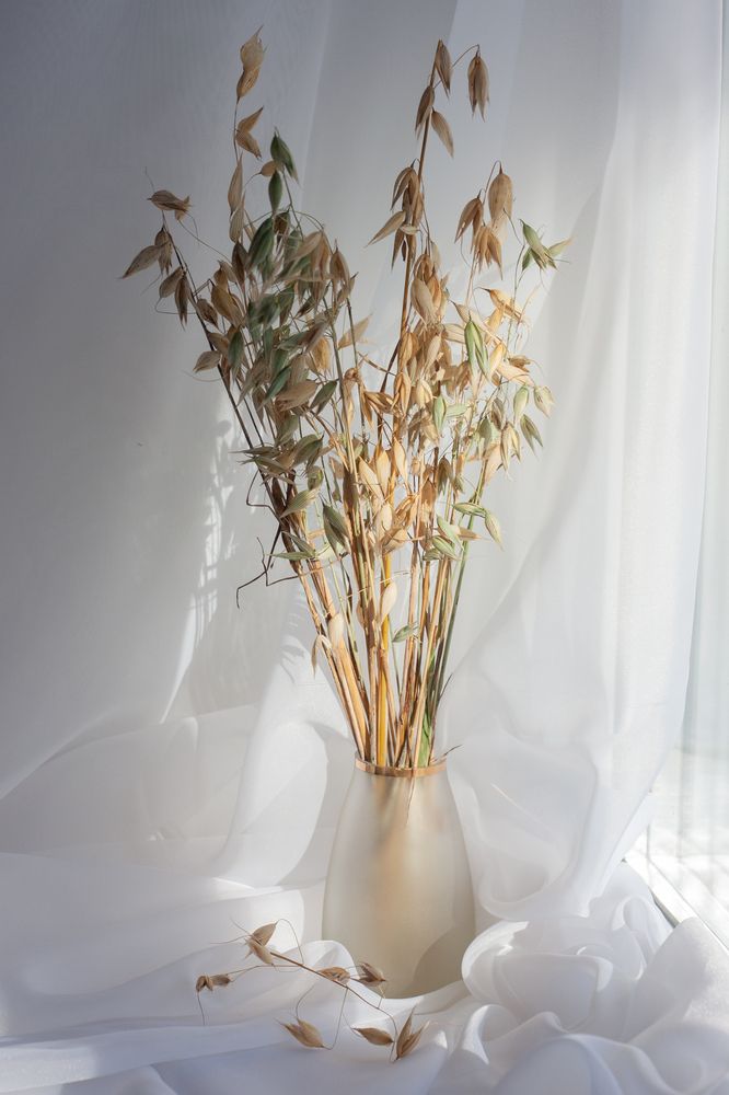 Photograph by Евгения Торженсмех