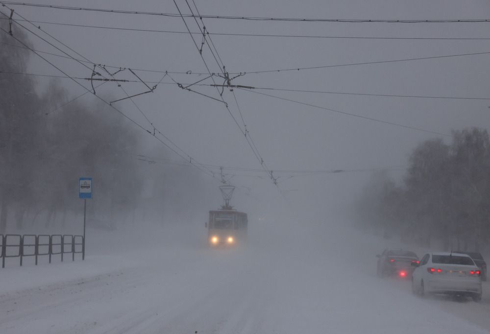 Фотография автора Олег Каргаполов