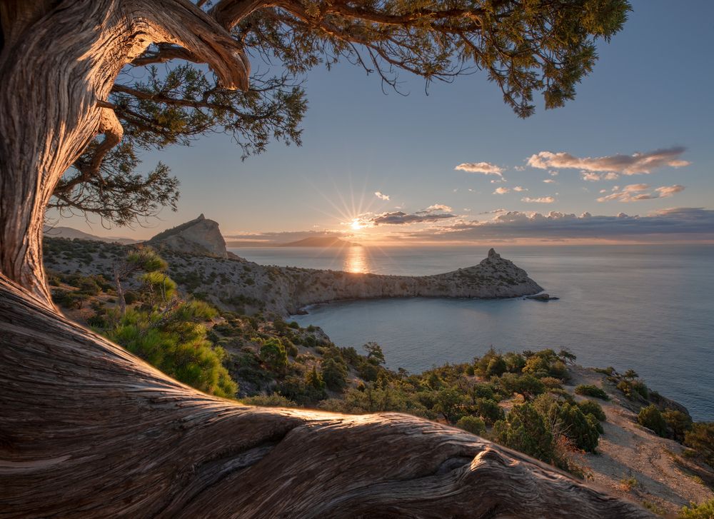 Новый расСвет