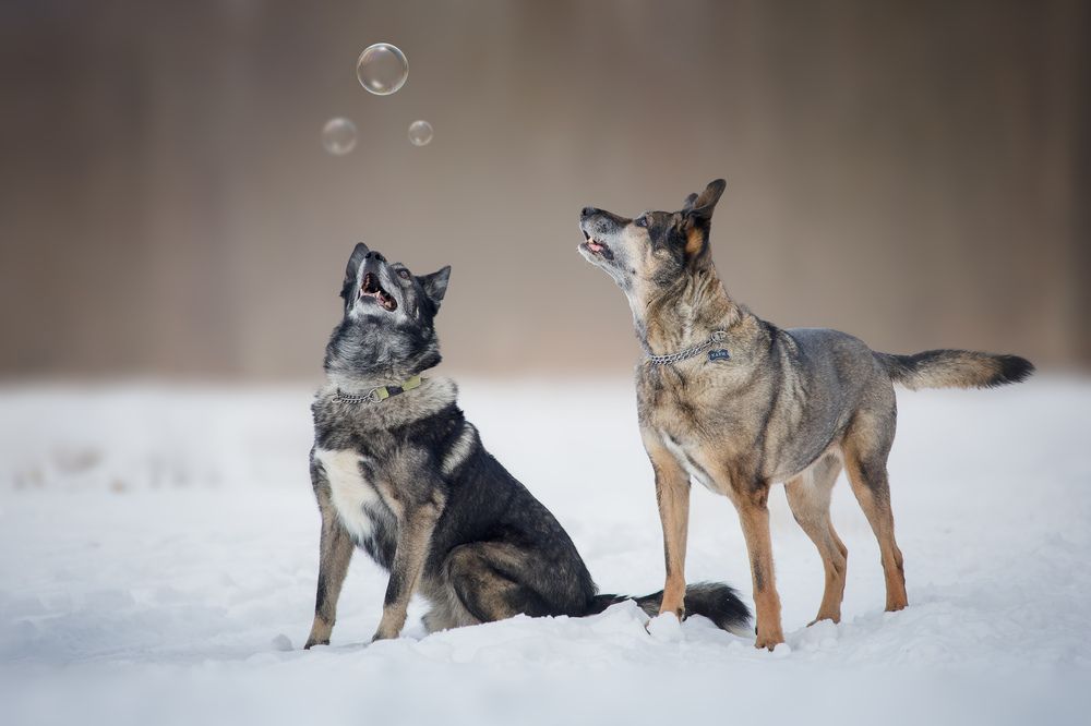 Photograph by IrenRRR