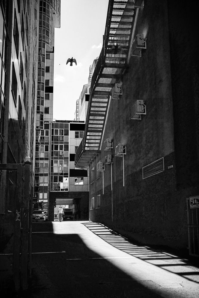 Photograph by Ирина Корпачева