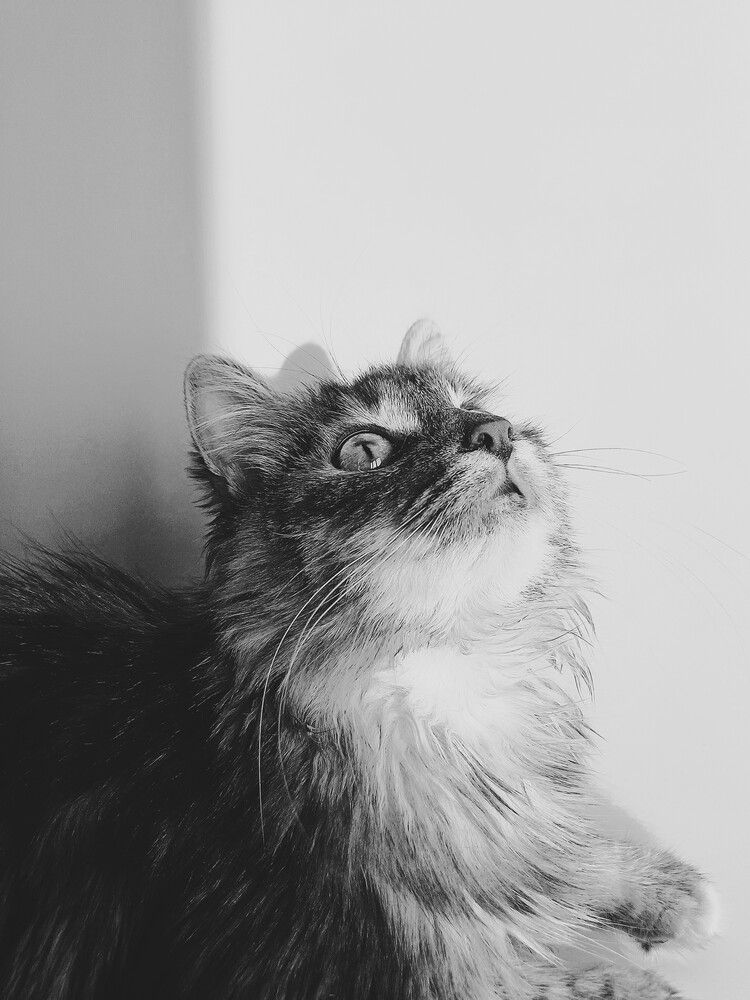 Photograph by Anna Grinkevich