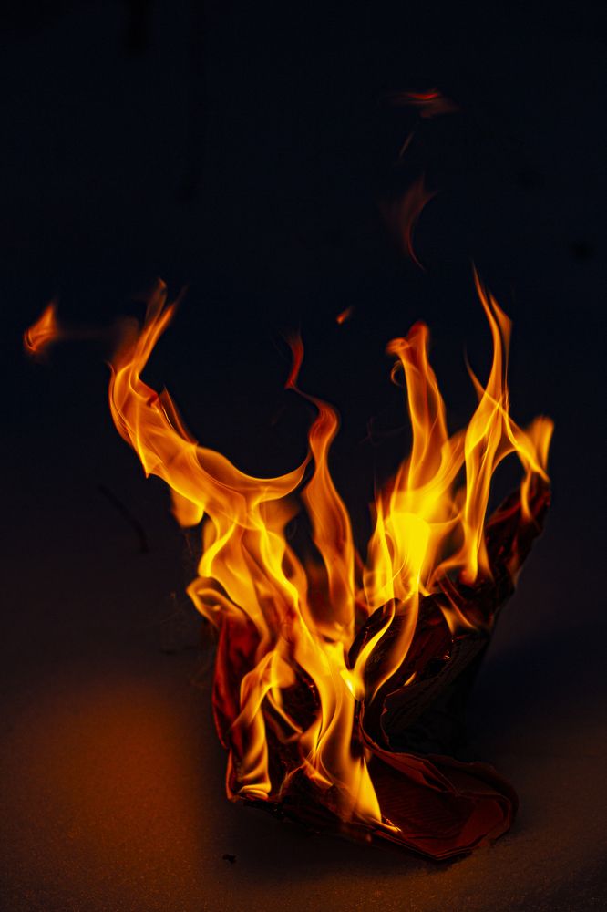 Photograph by Елена Фатьянова