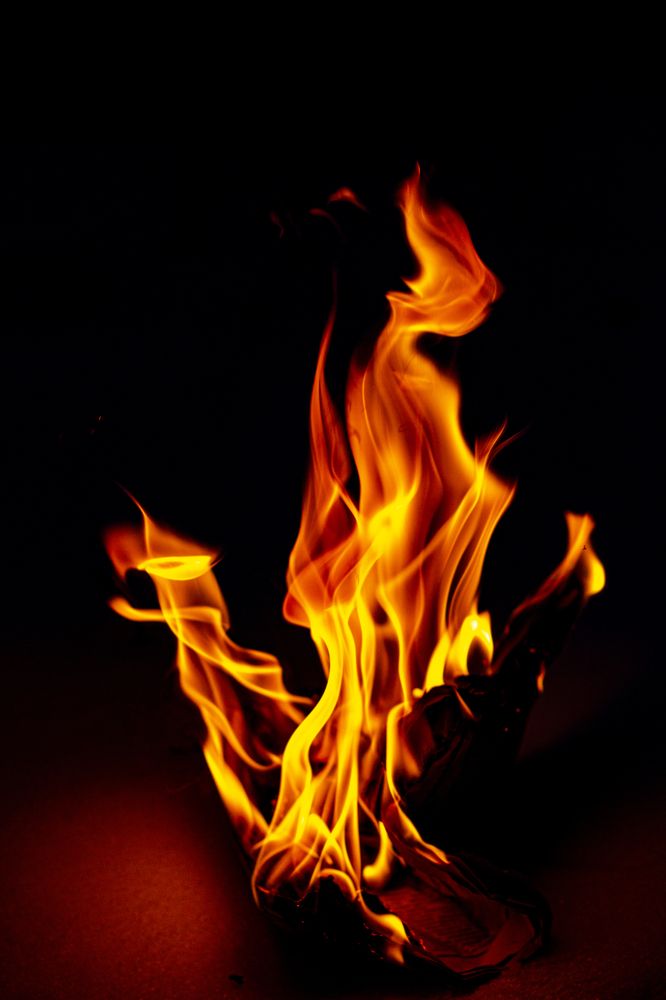 Photograph by Елена Фатьянова