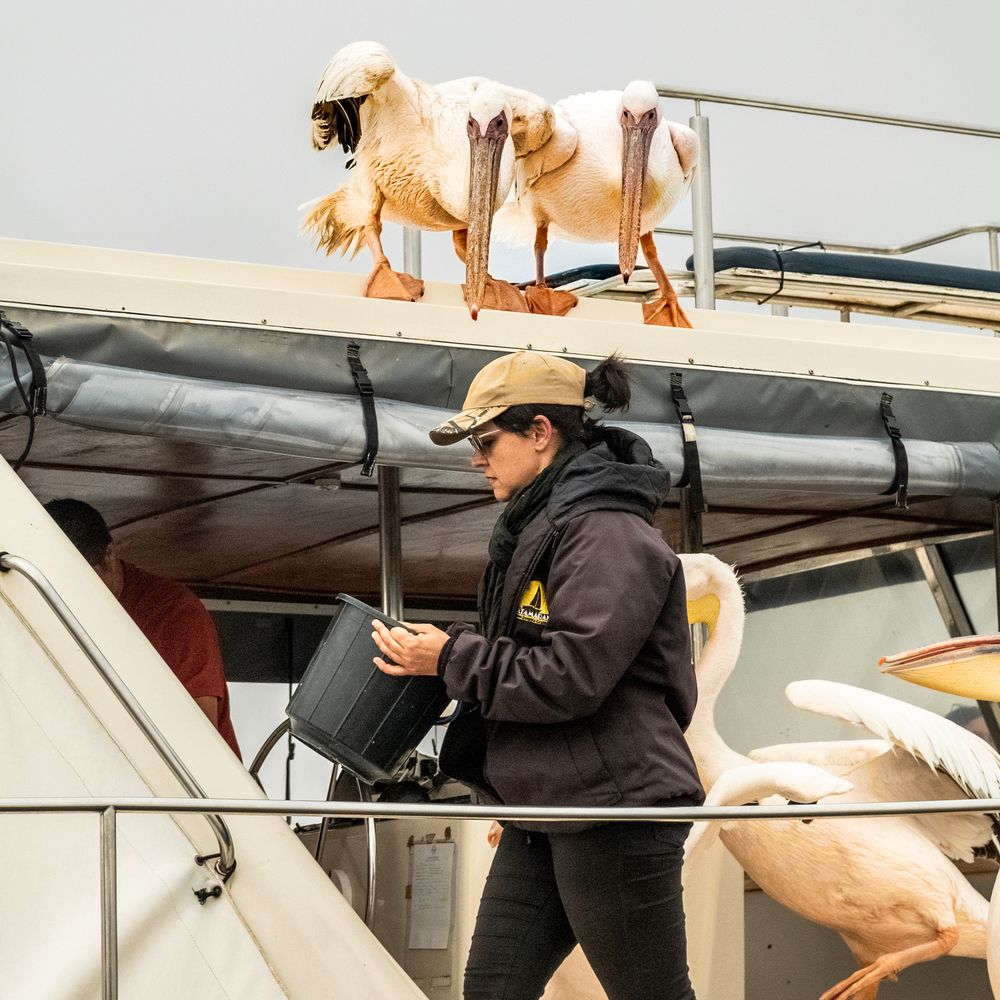 Photograph by Елена Захарова